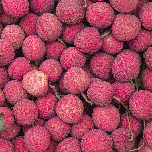 Litchis